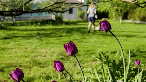 Préparez votre jardin pour le printemps